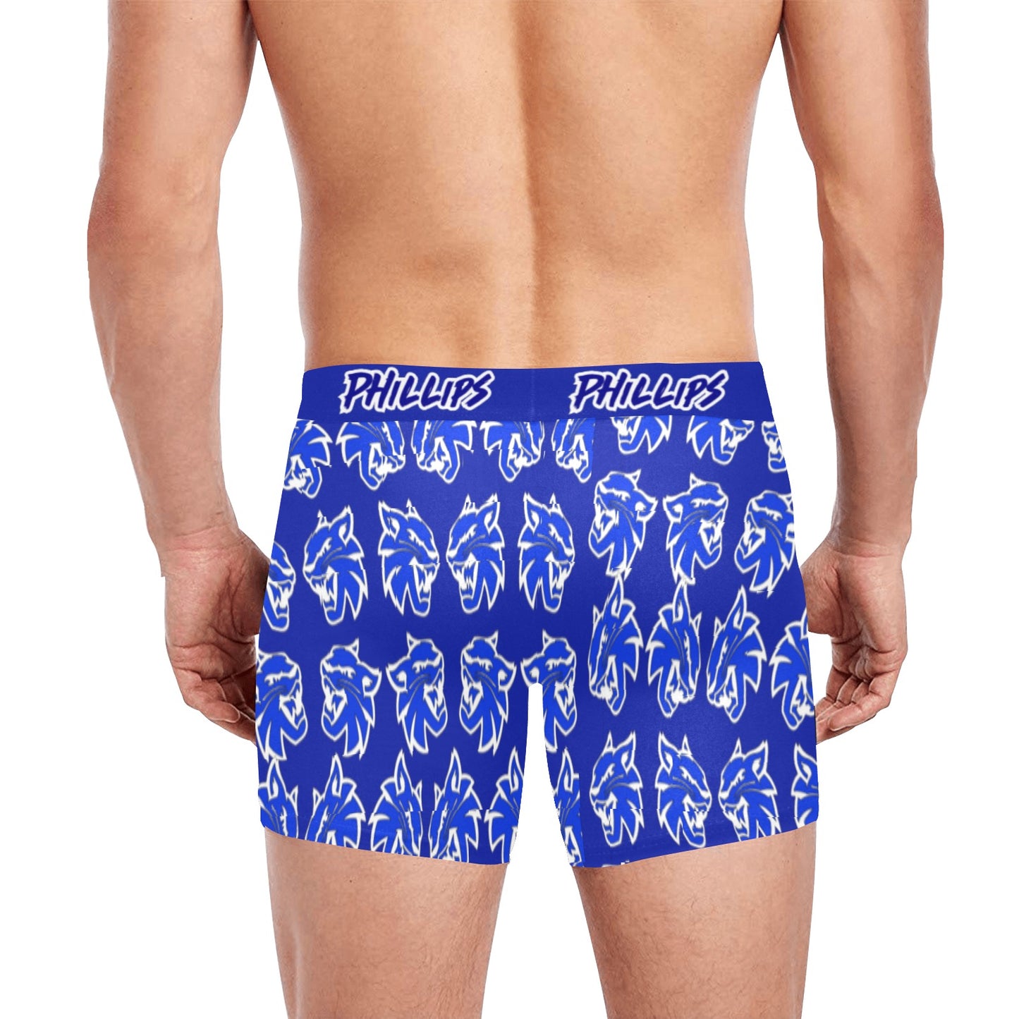 Mens Phillips Wildcats Underware 4 Men's Boxer Briefs with Custom Inner Pocket & Waistband (Model L34)